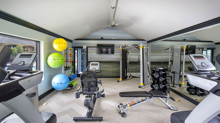 Fitness center with cardio and strength equipment